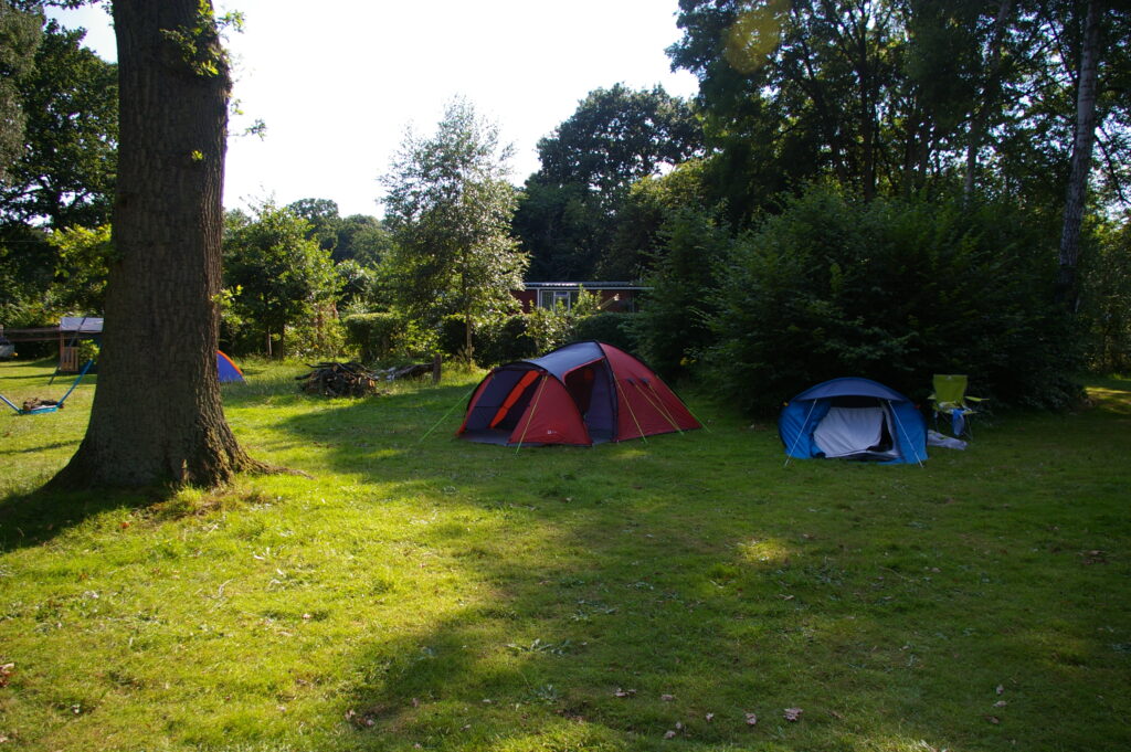 Dappled camping